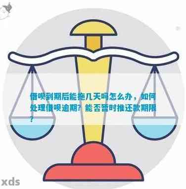 关于借呗的还款日期，能否提前几天偿还下一期借款？