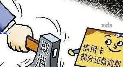 2020年信用卡逾期还款宽限攻略：一天的逾期如何应对？