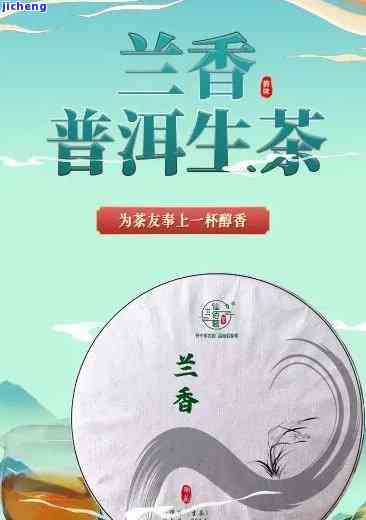 普洱茶新茶：兰花香的特点与品质分析，如何选购与品鉴？