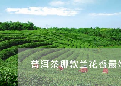 普洱茶新茶带兰花香好还是不带的好？