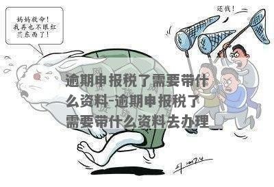 处理逾期增值税申报所需材料及相关注意事项