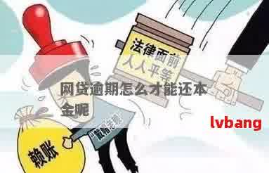 网贷逾期后真的需要强制全额还款吗？如何处理逾期款项以避免额外负担？