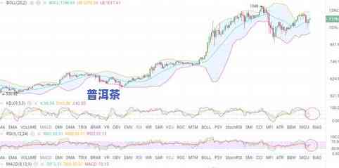 年份信记号普洱生茶市场价格分析与趋势展望