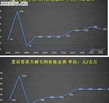 年份信记号普洱生茶市场价格分析与趋势展望