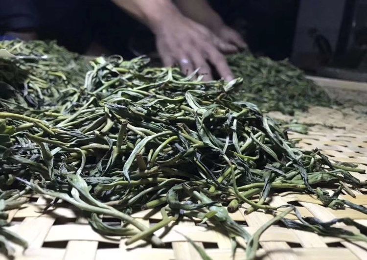 普洱茶的品质与山头有关吗？探究普洱茶制作过程中的其他关键因素。