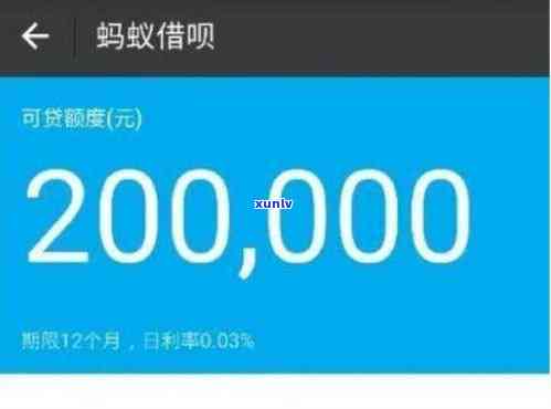 新2万借款无法偿还的解决方案：不仅有借呗，还有信用贷款和亲友支持