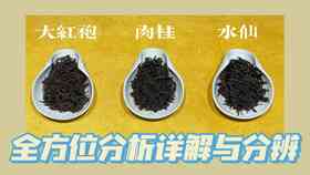 全面了解普洱茶：从知名到小众，一次搞定所有你想知道的茶叶