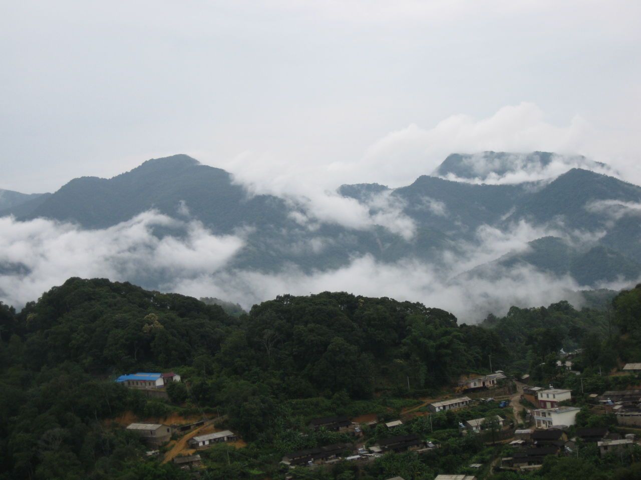 老龙寨普洱茶产地：揭秘源自何处的茶叶瑰宝