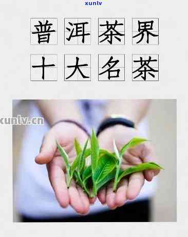 全球普洱茶排行榜：全面了解并挑选您的心头好