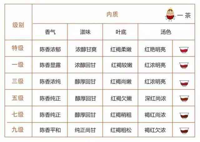 深入解析普洱茶级别判定：从原料、工艺到口感的全方位解读