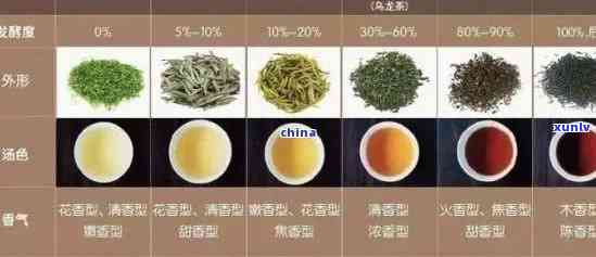 探索特别的普洱茶：它属于哪种茶叶类型？