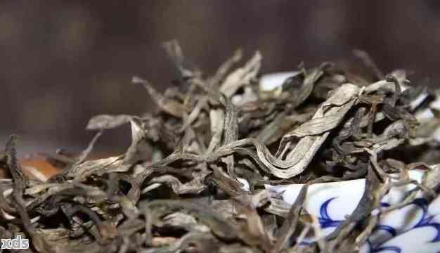 探索特别的普洱茶：它属于哪种茶叶类型？