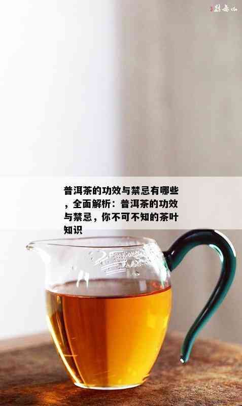 普洱茶口味特征介绍大全