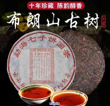 布朗山七子饼茶：古树茶魅力，云南原生态口感的完美诠释