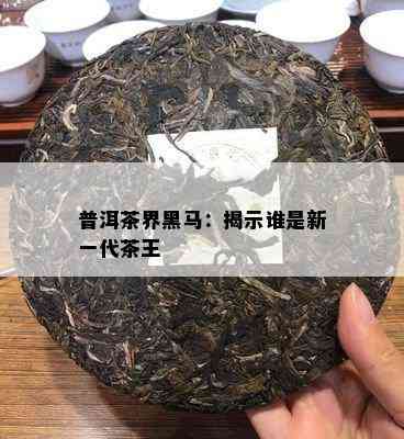 特别的普洱茶有哪些品种