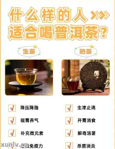 都是些什么人在喝普洱茶呢：爱茶人士、减肥人群、老年人群等适合饮用普洱茶