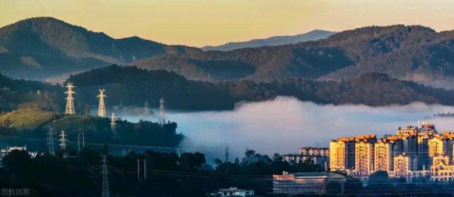 普洱茶包装袋尺寸选择全攻略：如何选出最合适的包装尺寸