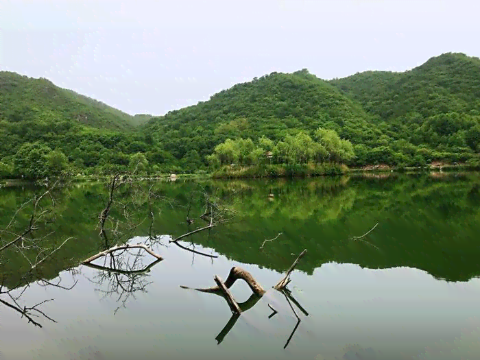 延庆旅游景点大全排名玉渡山：探秘北京最迷人的自然风光与人文胜地