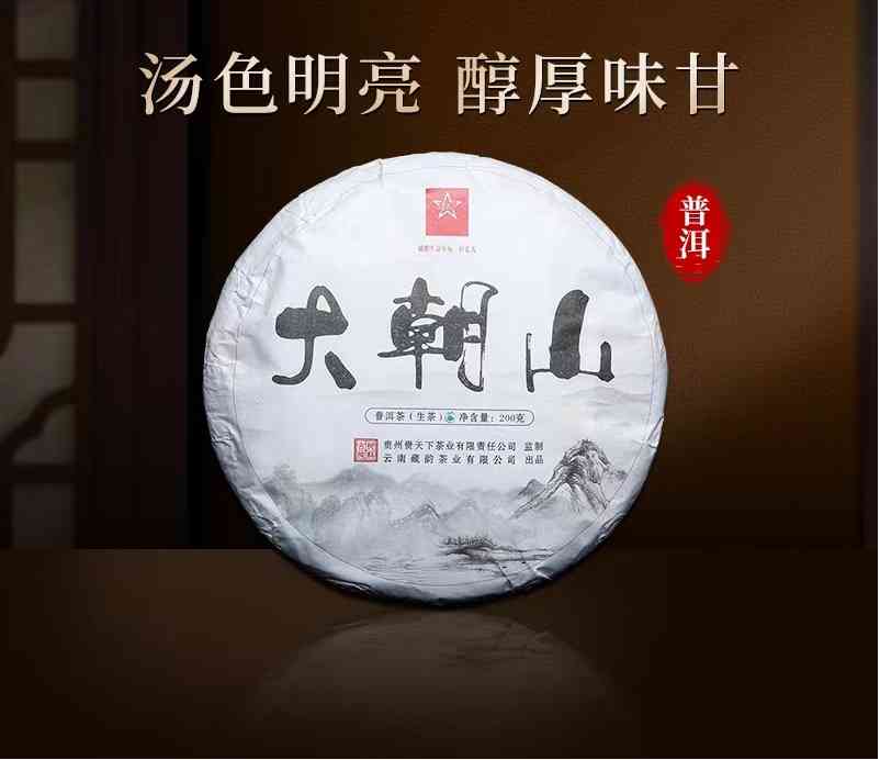 云南大朝山的秘境：探究普洱茶的古树之味与文化内涵