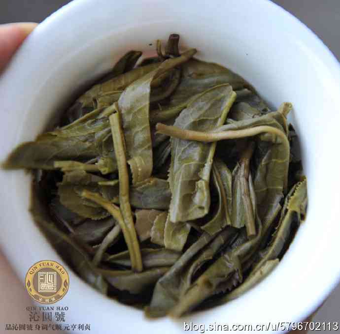 云南大朝山的秘境：探究普洱茶的古树之味与文化内涵