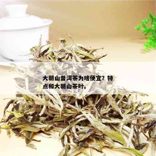 大朝山普洱茶特点是什么