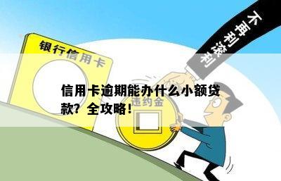 信用卡逾期还款后，能否申请小额贷款？