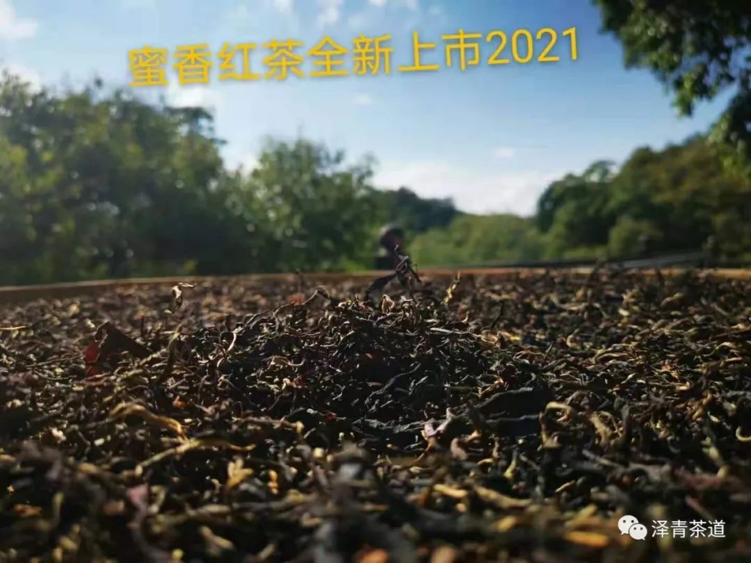 云南三大名茶：古树普洱茶、勐海晒青茶、凤庆老班章茶