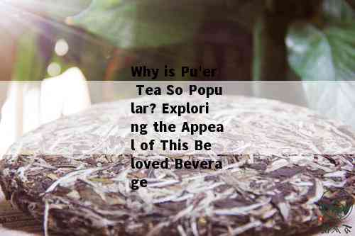 What is the special pu'er tea? English translation and writing.