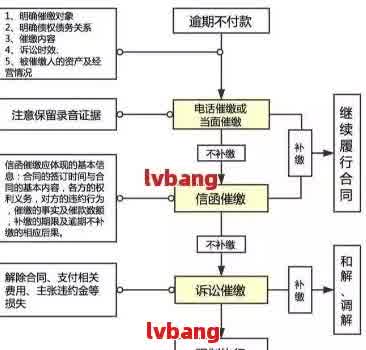 网贷逾期委外清收怎么办：处理流程、含义及方式全解析