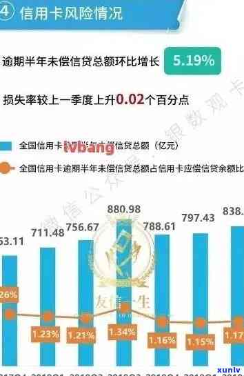 债务解决方案：网贷与信用卡的对比分析与选择