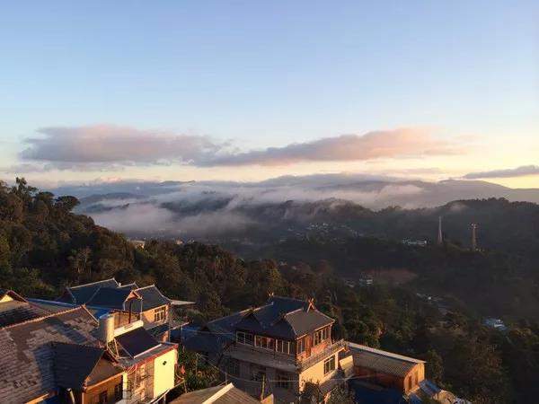 普洱茶南糯山哪个好？