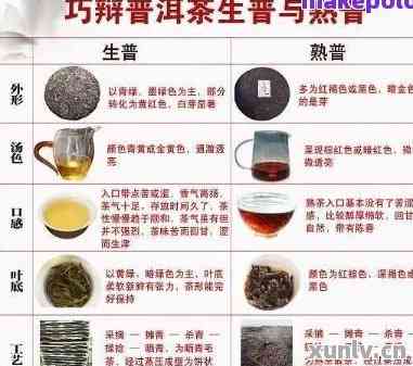 普洱茶的产地、品质和泡法：全面指南解答关于普洱茶的一切疑问