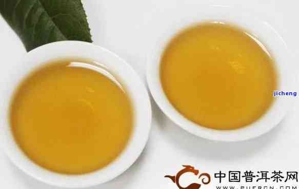 '黄芽普洱茶特点解析：什么是其独特风味与品质？'