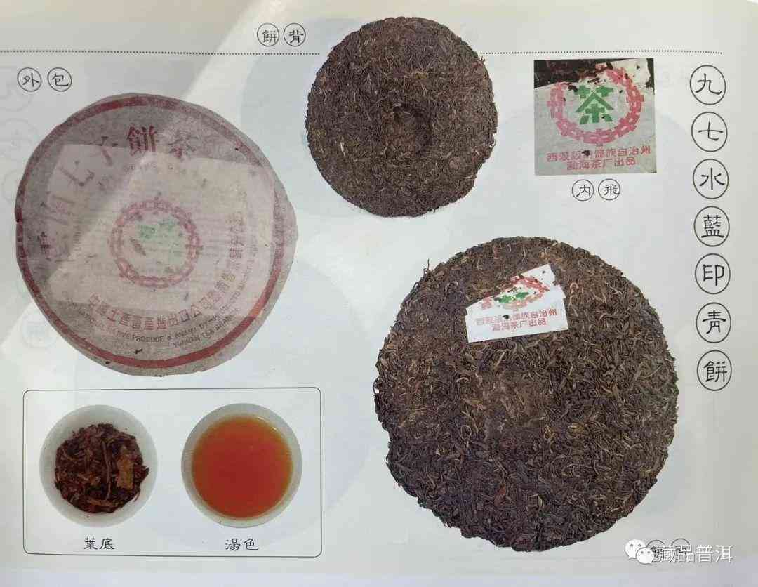 黄芽普洱茶饼：品种、生产过程、品质特征与品饮方法全面解析