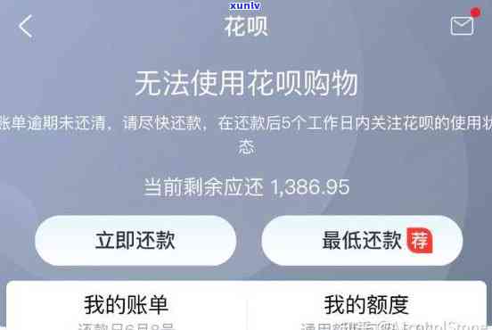 网商贷200万逾期未还：潜在的法律后果与解决策略