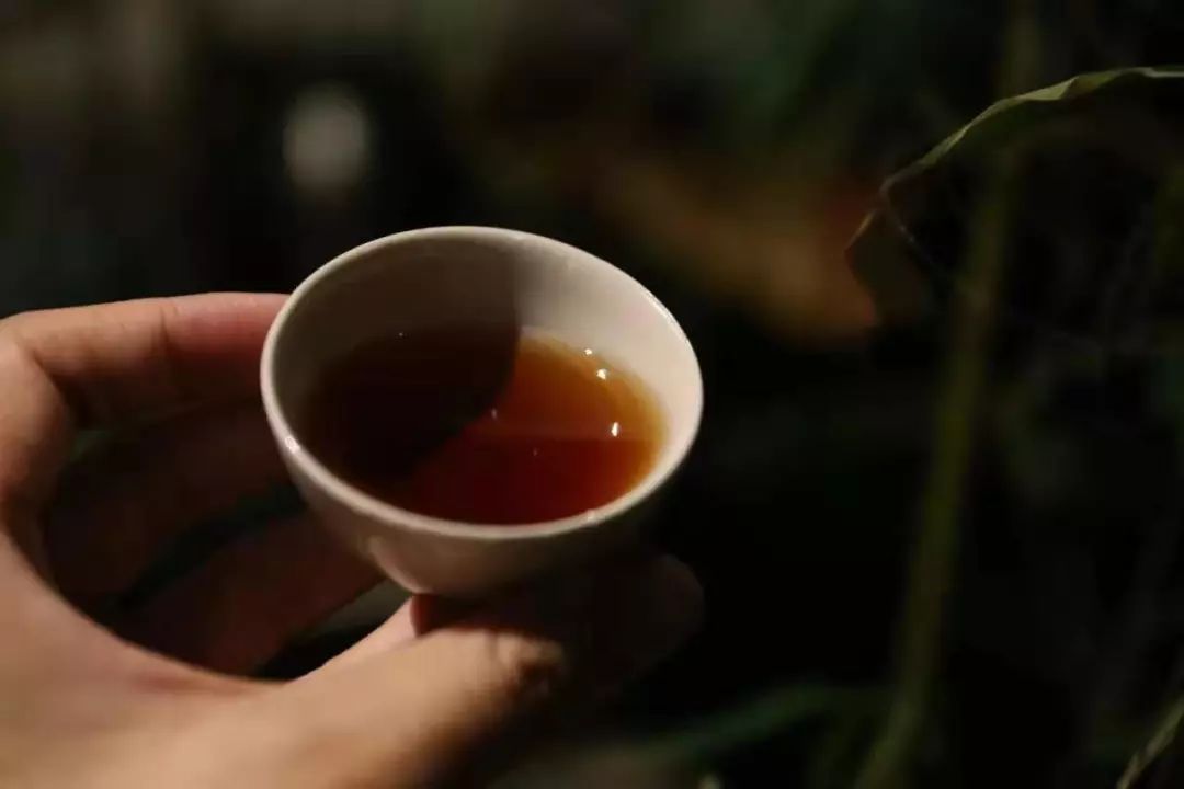 普洱茶果冻配料有哪些好