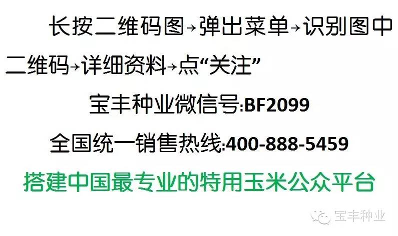 近两年信用卡违约两次：原因分析、影响与解决策略