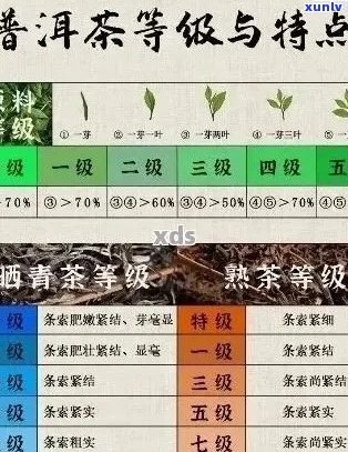 普洱茶的六大茶叶品种及其特点