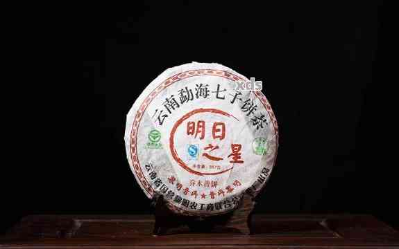 全面了解博友普洱茶2006明日之星：品质、产地、冲泡方法与品鉴技巧