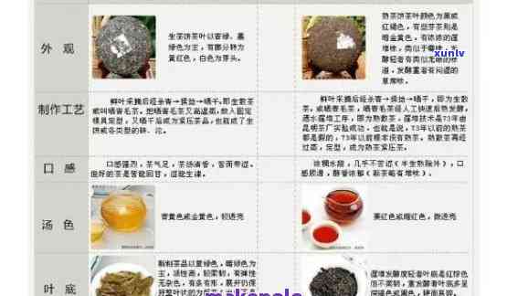 凹凸茶业普洱茶品质如何？口感特点、陈化潜力及泡法指南一应俱全！