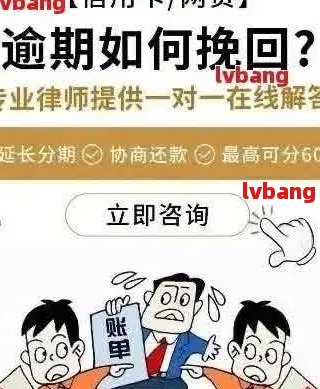 新如何应对网贷1万元逾期还款问题？建议、解决方案及注意事项全解析