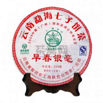 云南银毫茶厂：传统与创新并存的高品质茶叶制造商