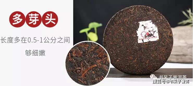 日春普洱茶怎么泡才好喝：技巧与心得