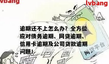 逾期一次性还清的利弊分析：了解风险与好处，做出明智决策