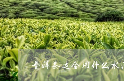 普洱茶与草泡水能喝吗