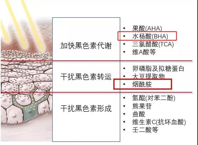 佘太翠灰色衣物中绿色成分来源及是否属于染色问题解析