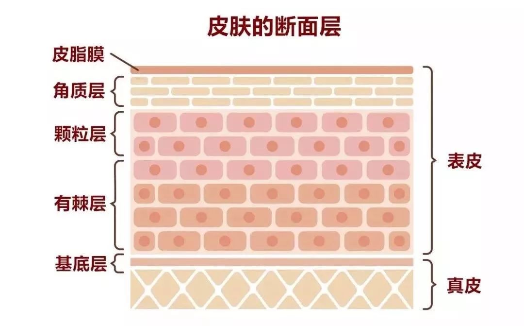 佘太翠灰色衣物中绿色成分来源及是否属于染色问题解析