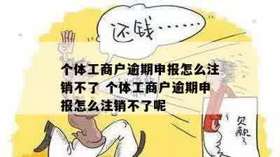 个体户逾期申报是否可以撤销及撤销申请的全面指南