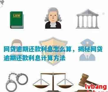 全面解析网贷逾期金额：影响、计算方法以及如何应对