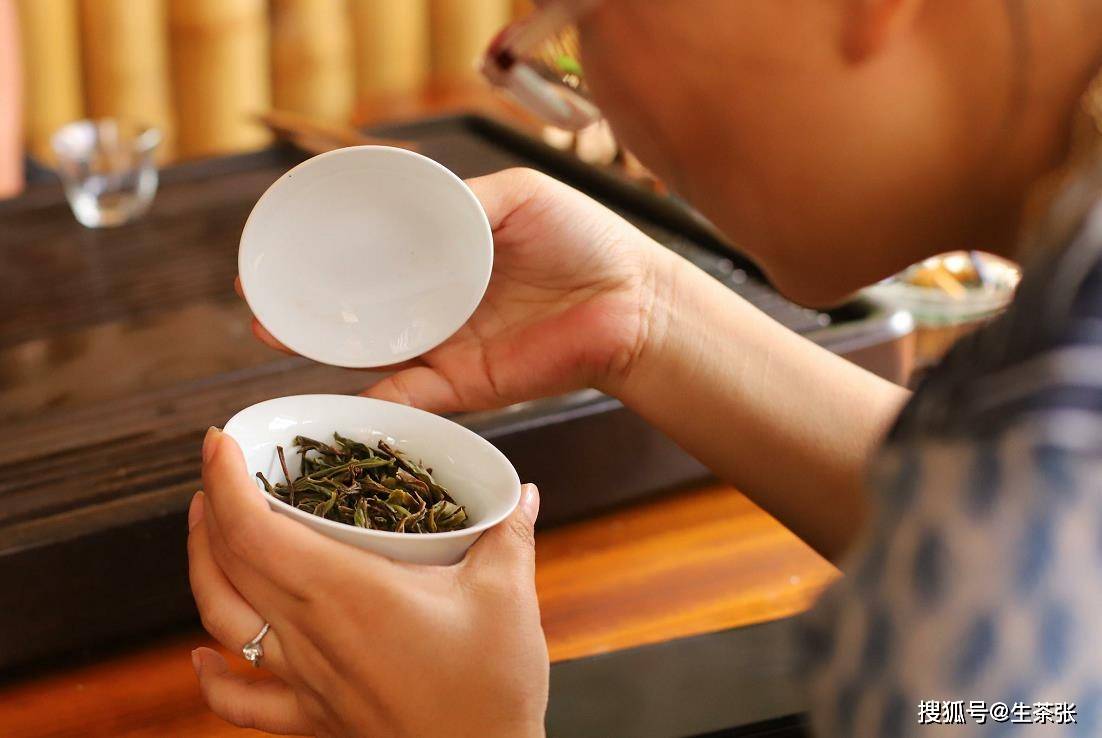 普洱茶拿给品茶师喝好吗